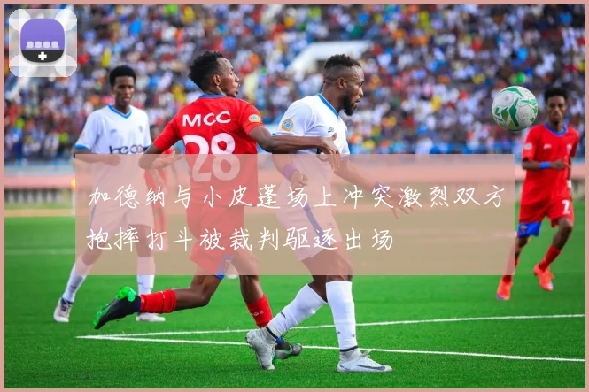 加德纳与小皮蓬场上冲突激烈双方抱摔打斗被裁判驱逐出场
