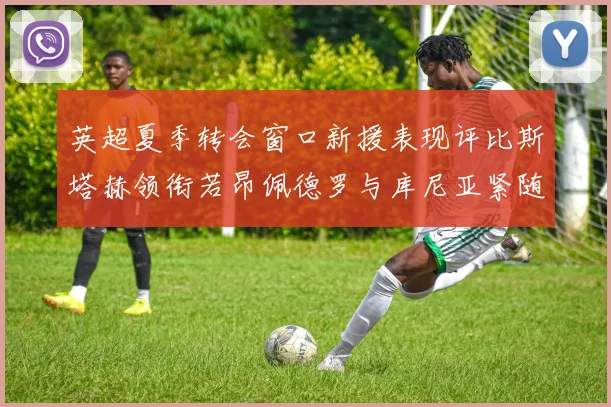 英超夏季转会窗口新援表现评比斯塔赫领衔若昂佩德罗与库尼亚紧随其后