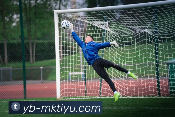 MK体育平台生态图