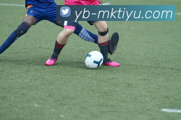 MK体育APP 封面图